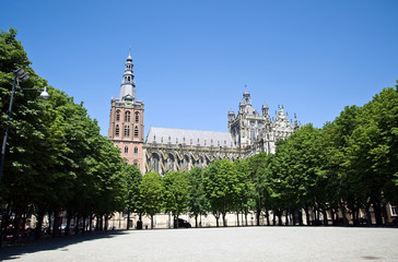 Wall Mural - St. Johannes Kathedrale 's-Hertogenbosch
