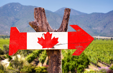 Wall Mural - Canada Flag wooden sign with winery background