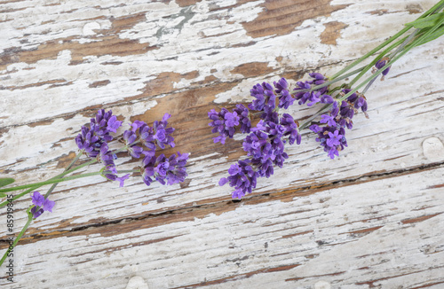 Naklejka na szafę Lavender on rustic wood background