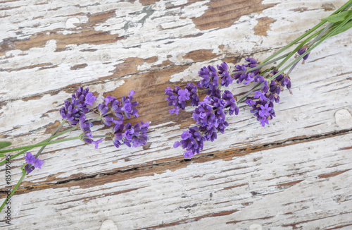 Nowoczesny obraz na płótnie Lavender on rustic wood background