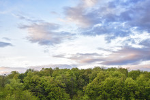 Colorful Cloudy Sky With Green Trees In The Evening