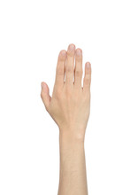 Hand Showing The Five Fingers