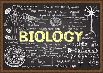 hand drawn biology on chalkboard.