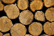 Cross section of the timber. A stack of dry firewood laid in a h