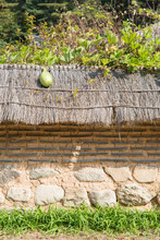 Fresh Green Squash On Straw Roof