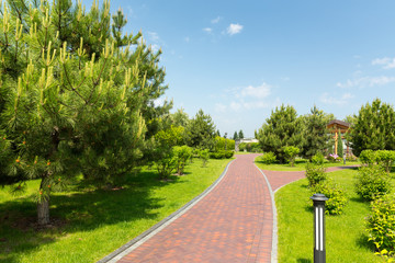 Wall Mural - Pavement in the park