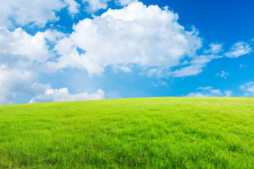 green field and blue sky