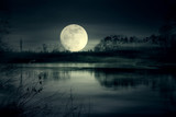 Fototapeta Dmuchawce - Full moon rise