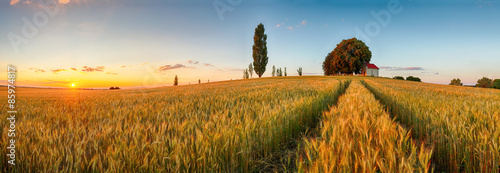 Fototapeta na szkło Lata pola pszenicy panoramy wieś, rolnictwo