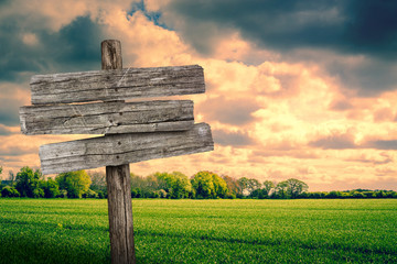 Wooden sign on a green field