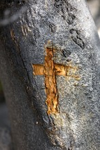 Wooden Cross Carved In Wood