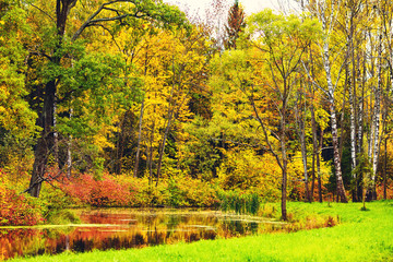 Canvas Print - Autumn Landscape