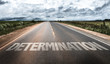 © gustavofrazao - Determination written on rural road