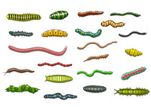 Crawling Caterpillars And Worms In Cartoon Style