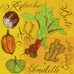 Wall Mural - Mixed Vegetables