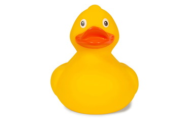 Wall Mural - Rubber duck