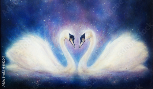 Obraz w ramie Romantic two swans on cosmic space, and stars.