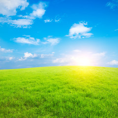 green field and blue sky