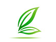 gren leaf symbol sign vector icon