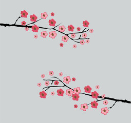 Canvas Print - Cherry Blossom