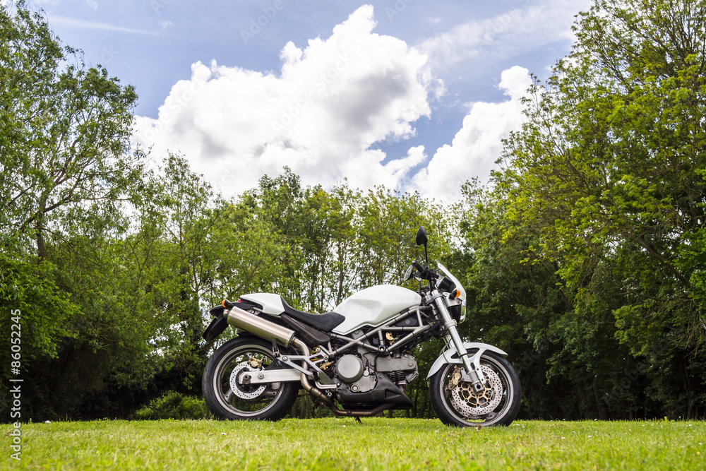 Spring Over Tree Motorcycle One motorcycle in field with spring forest in its background Stock ...