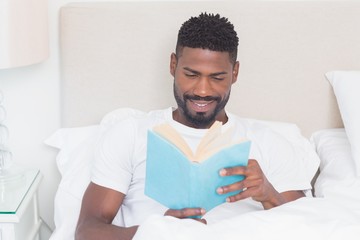 Wall Mural - Handsome man reading in bed