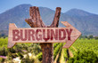 Burgundy wooden sign with winery background