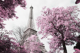 Fototapeta Fototapety z wieżą Eiffla - Eiffel tower