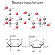 Structural chemical formula and model of sucrose