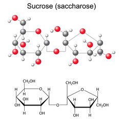 Poster - Structural chemical formula and model of sucrose