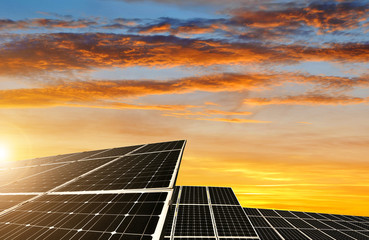 Wall Mural - solar energy panels against sunset sky