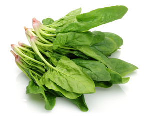 Sticker - Spinach