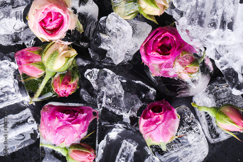 Nowoczesny obraz na płótnie Frozen rose
