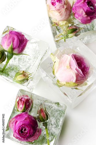 Naklejka - mata magnetyczna na lodówkę Frozen rose