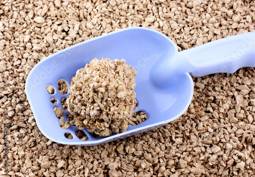 Photographie Cleaning litter box. Plastic shovel with clumping lump on a back