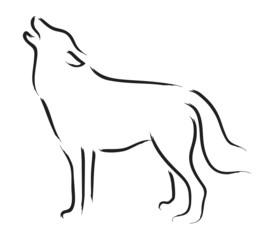Wall Mural - howling wolf