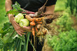 Leinwandbild Motiv Fresh vegetables