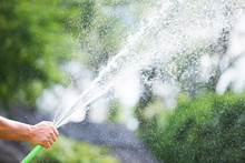 Man Watering The Garden From Hose On Sunny Day