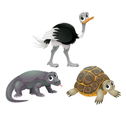 Wall Mural - Funny Australian animals, ostrich, turtle and Komodo dragon