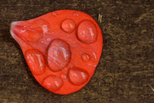 Red Flower Petal With Water Drops