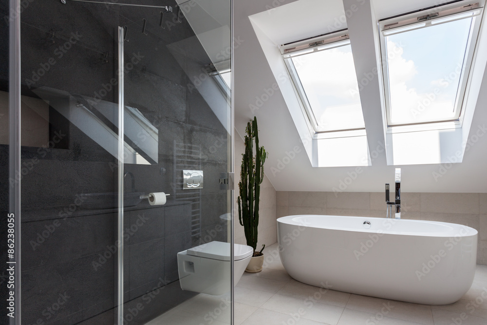 Shower cubicle and bathtub