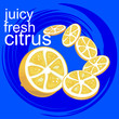 © podtin - Citrus