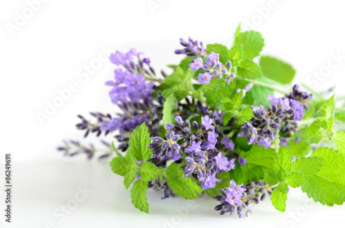 Fototapeta na wymiar lavender and mint on white background