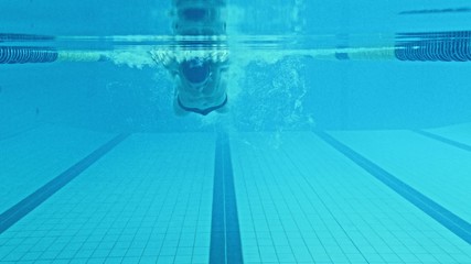 Wall Mural - Young swimmer in a swimming pool