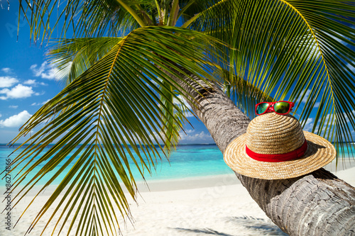 strawhat with sunglasses on...