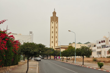 Wall Mural - Mohammed V Mosque