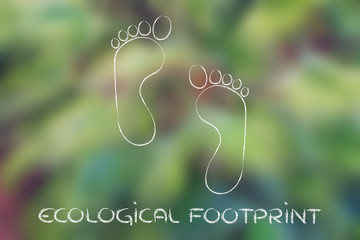 ecological footprint