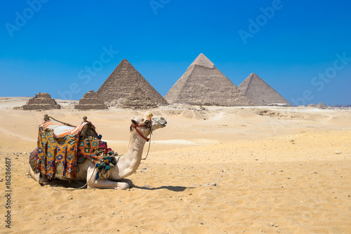 Naklejka dekoracyjna Giza in Cairo, Egypt.