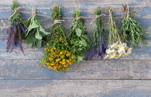 Various Fresh Herbs Hanging On A Leash