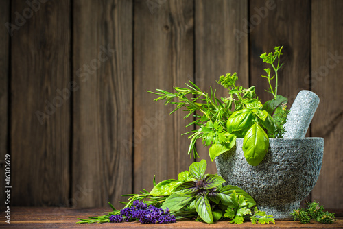 Naklejka nad blat kuchenny Various fresh herbs hanging on a leash